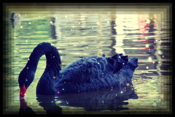 Синие лебеди