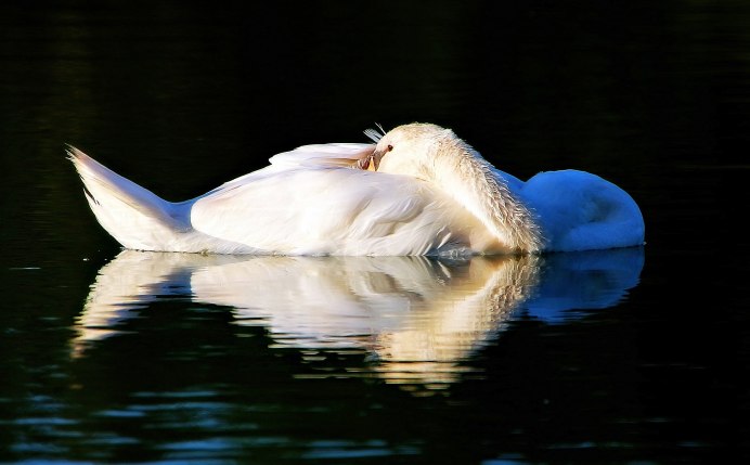 Художник - иллюстратор Richard Cowdrey