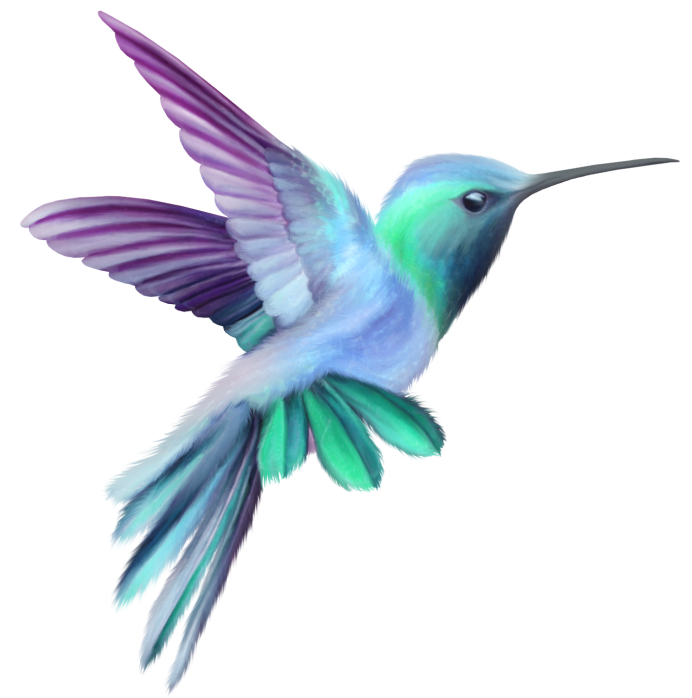 Bee Hummingbird Clipart