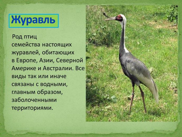 Летят Журавли