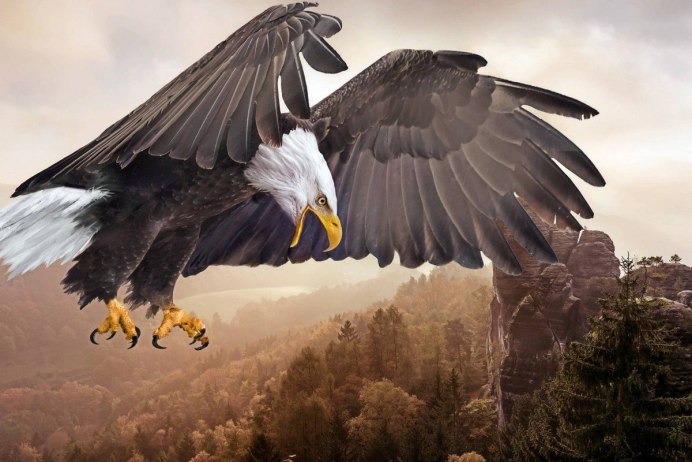 Орел Халзан