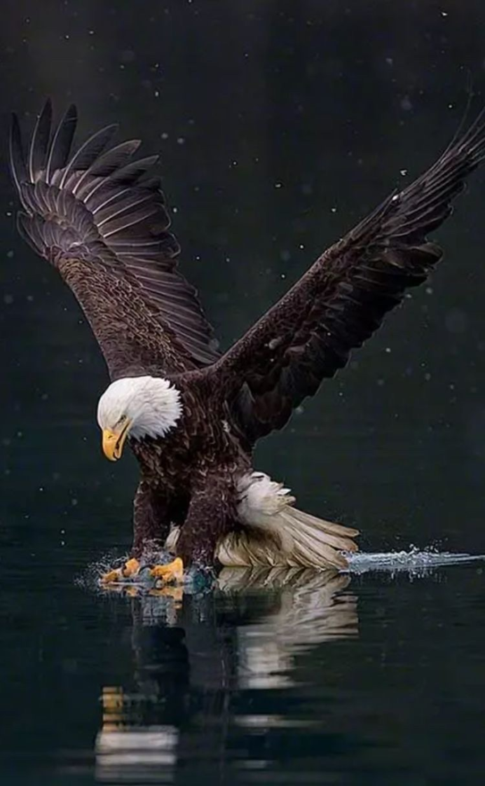 Охотник с орлом