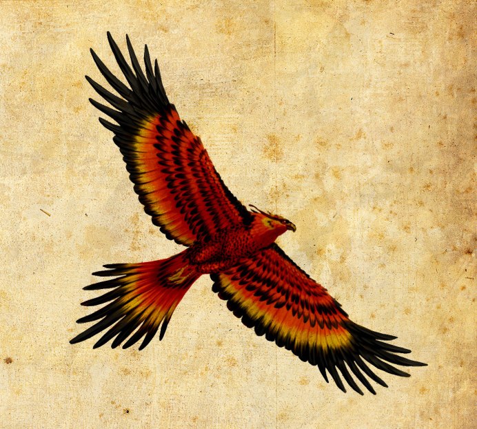 Алерион птица