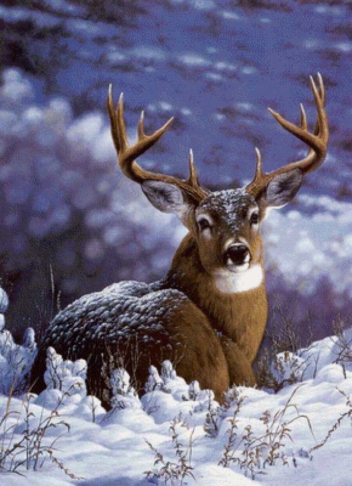 Белый олень в лесу