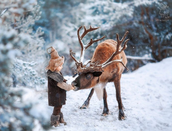 Северный олень