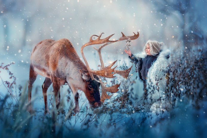 Олень зимой