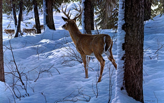 Звери в зимнем лесу