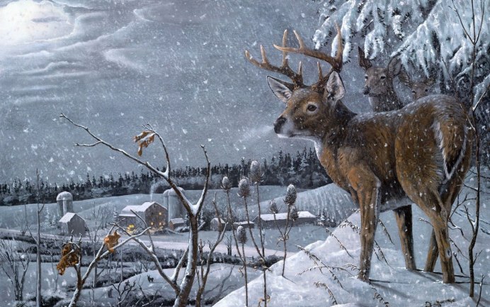 Олень зимой в лесу