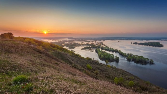 Утка кряква селезень