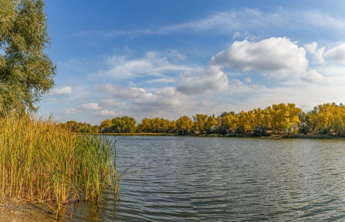 Птичий полет Козловка Чувашия