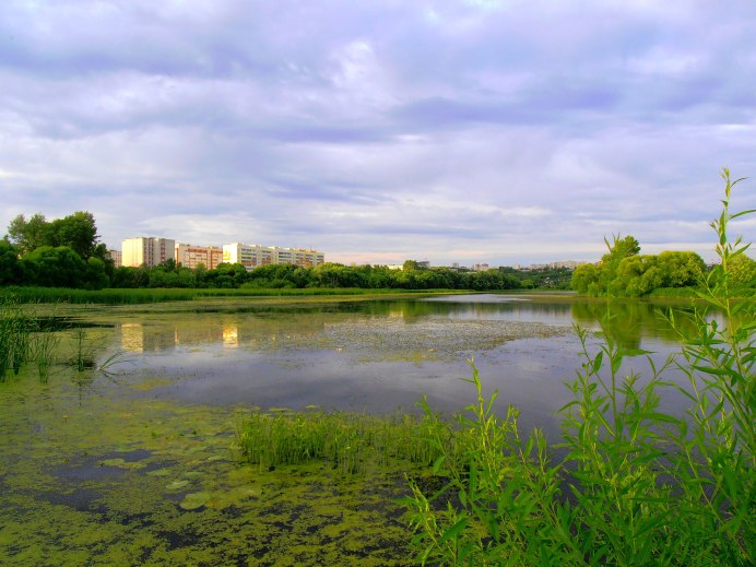 Река Свияга Ульяновск птицы