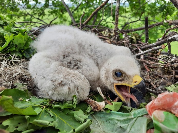 Волга река волна Астрахань