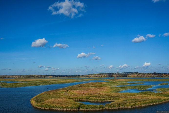 Вятка Иволга