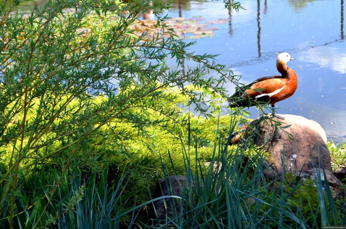 Нижняя Кама Елабуга