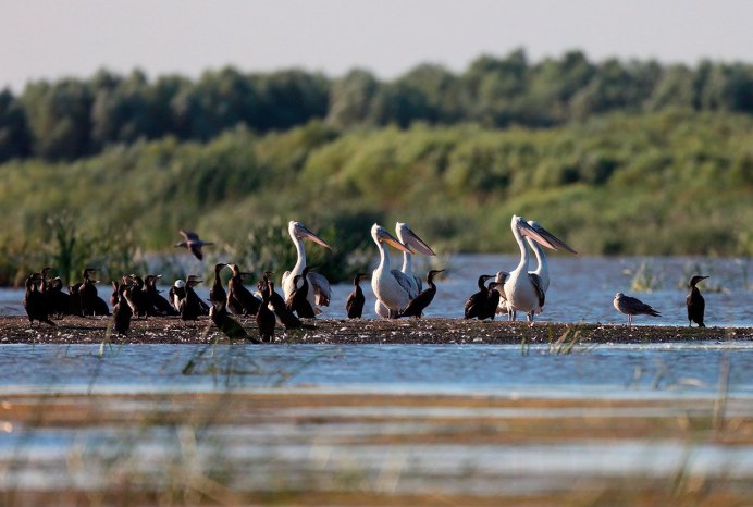 Свияга тихий Плес