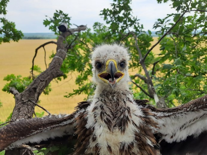 Свияга река Казань