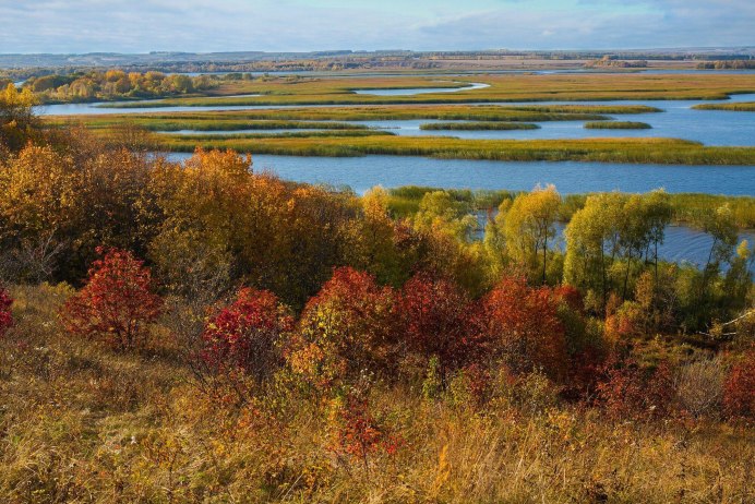 Птицы ХМАО Югры