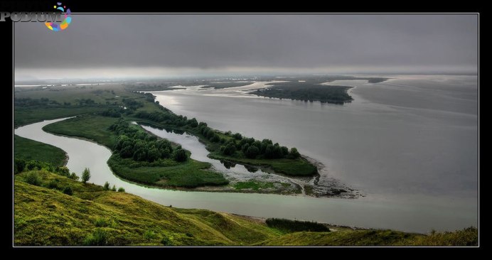 Нырок чомга