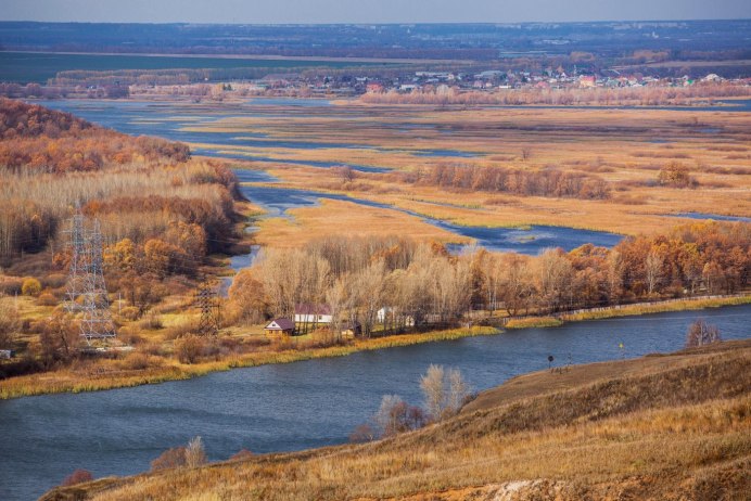 Маленькая серая птица у воды