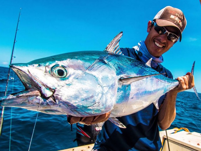 Kingfish рыба