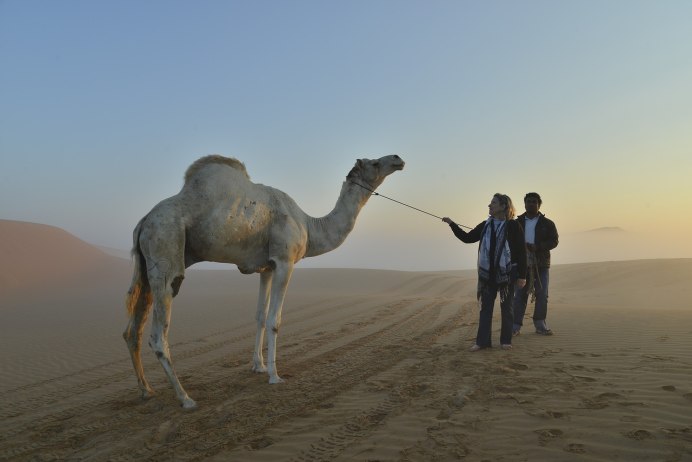 Дикое стадо мультфильм 2017