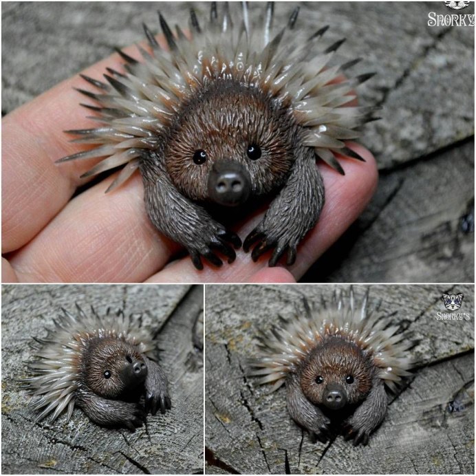 Дикобраз в Московском зоопарке