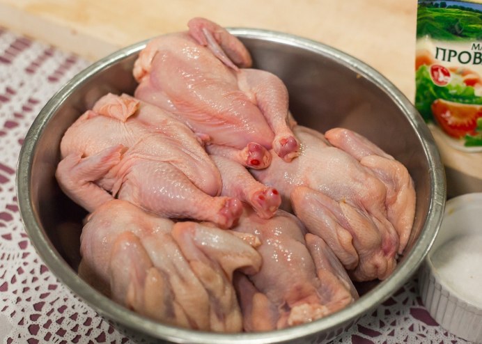 Цыплята фото