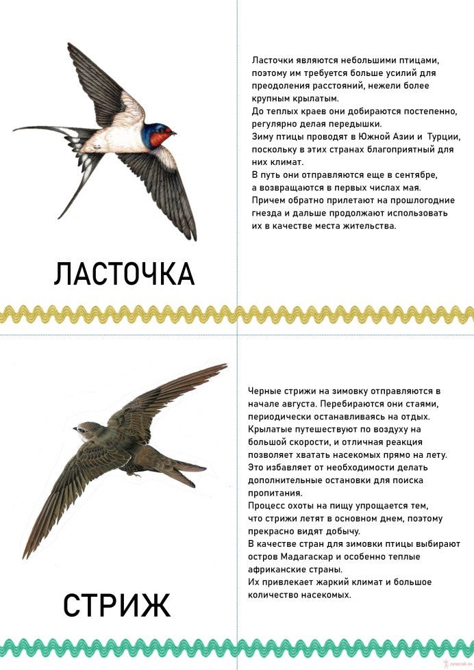 Синица лазоревка и Воробей