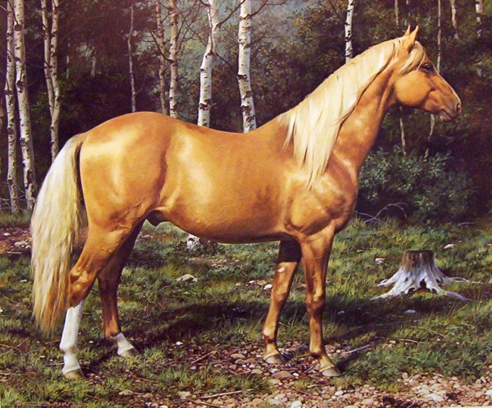 Бежевая лошадь