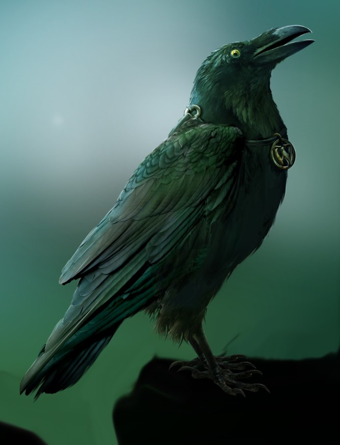 Клюв Колибри