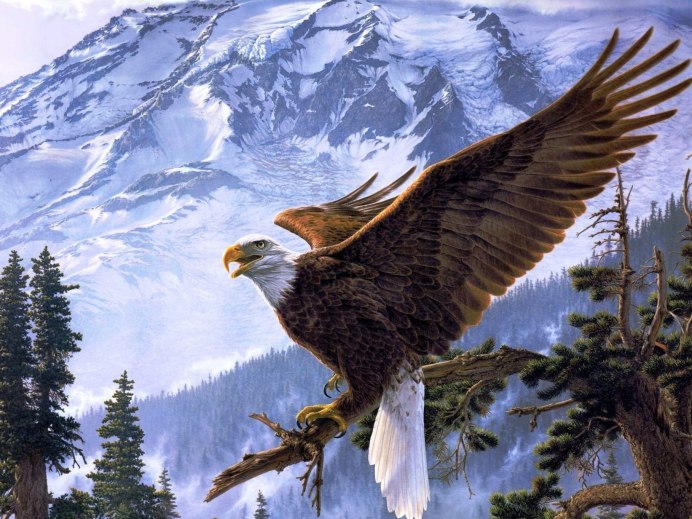 Белый Орлан