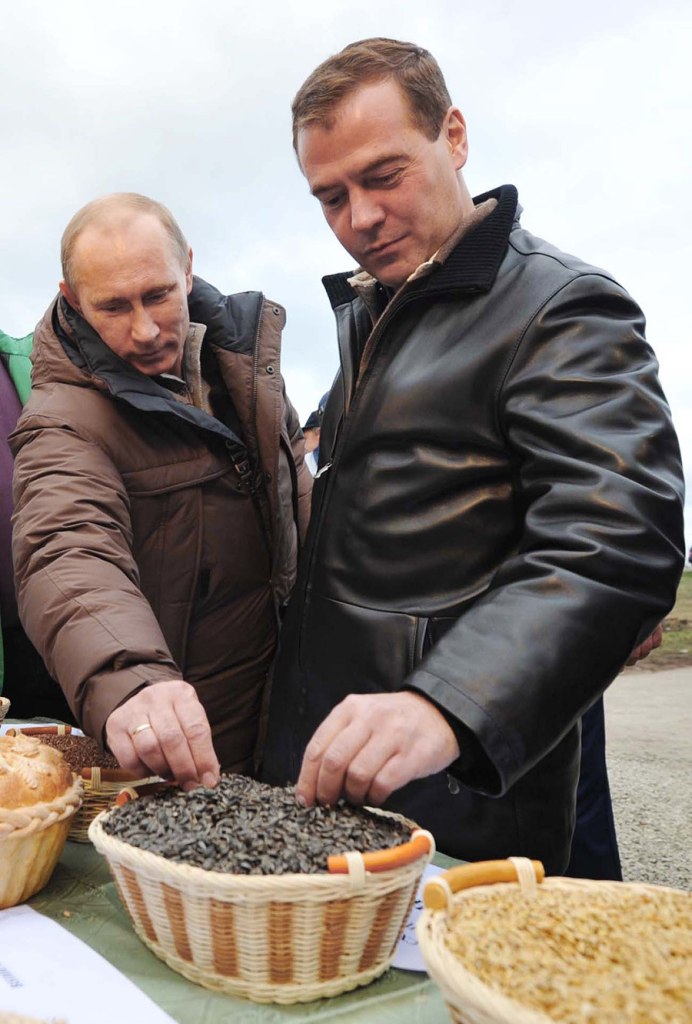 Голуби и семечки