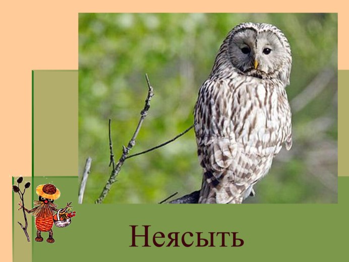 Западносибирский Филин