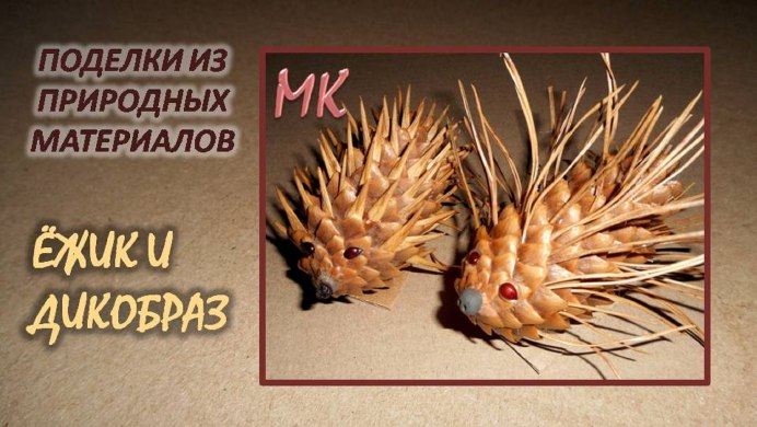 Шипы ежики
