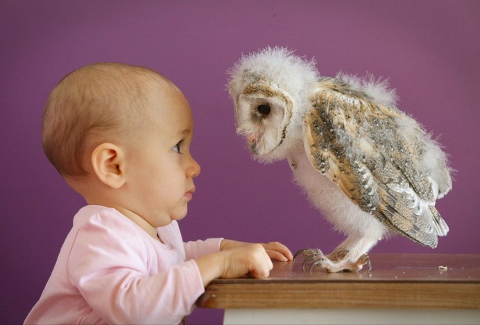 Животные для малышей