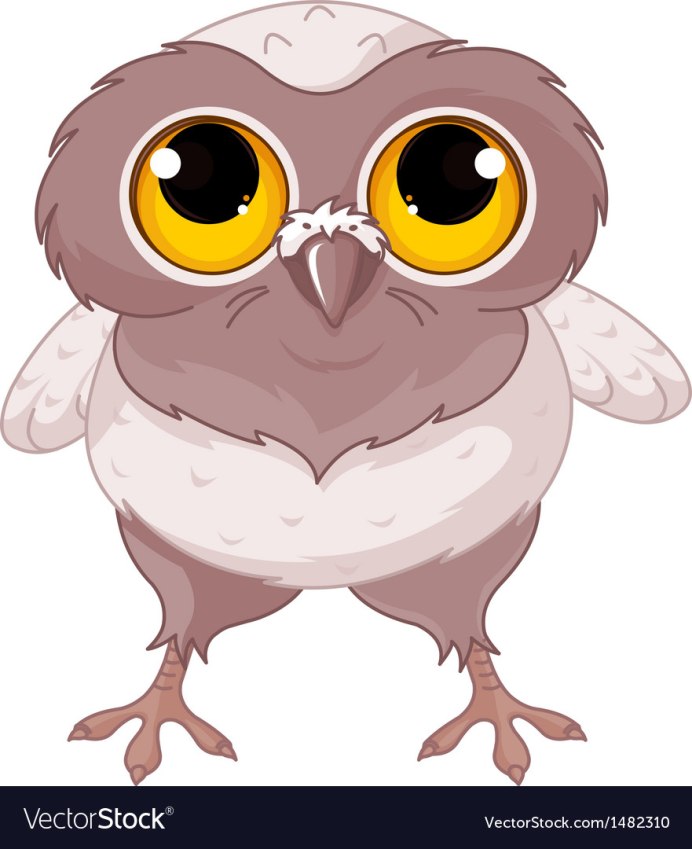 Совёнок Сипухи новорожденный