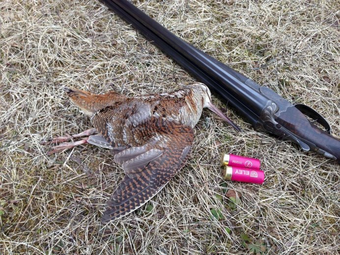 Бекас и дупель птица