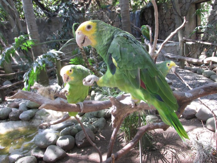 Национальный парк жако