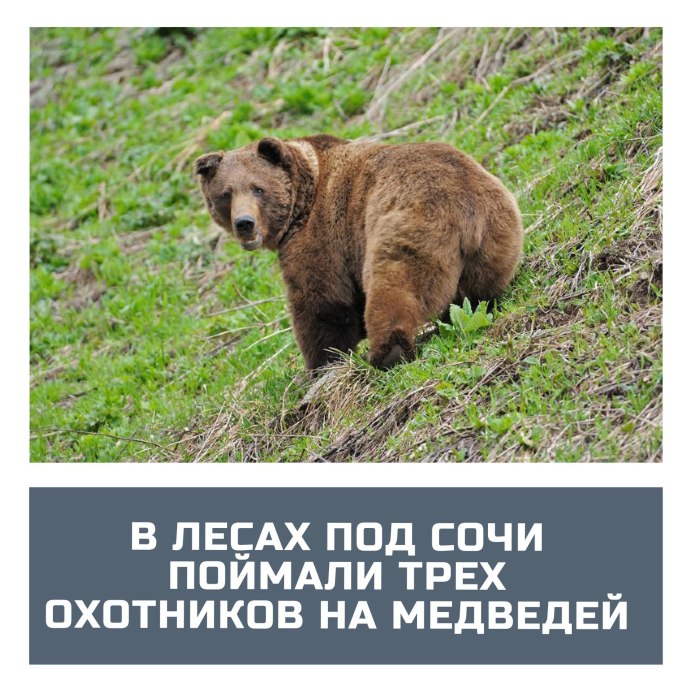 Всемирный день дикой природы