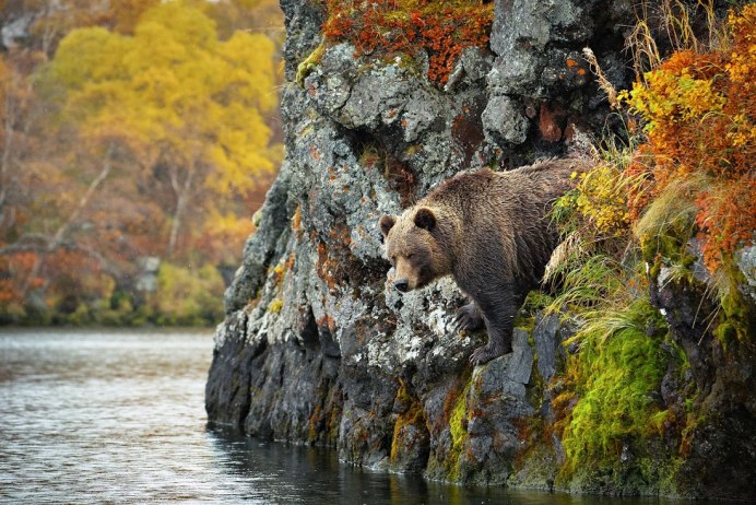 Медвежий ручей Сахалин