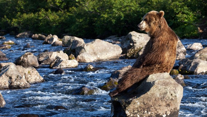 Саманг Камчатка