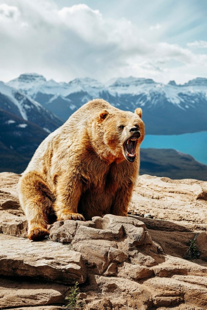 Медведицас медведатами