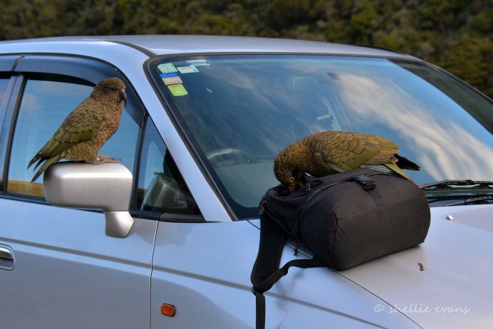 Позитивные мотиваторы счастье