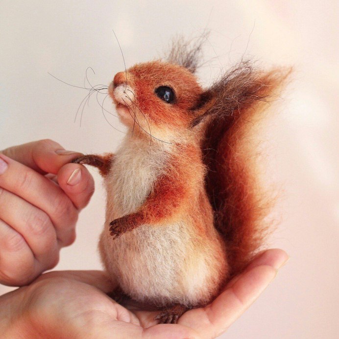Горностай (Mustela erminea)