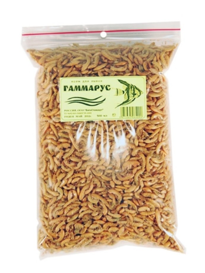 Рачок эпишура Байкальская