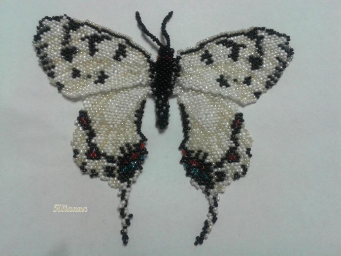 Серицин Монтела