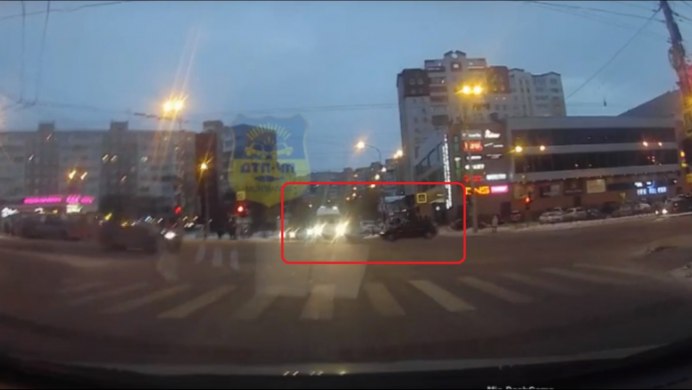 Остров Врангеля Баклан