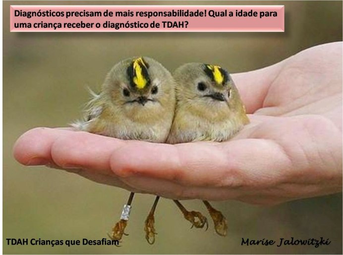 Бородатая неясыть птенец