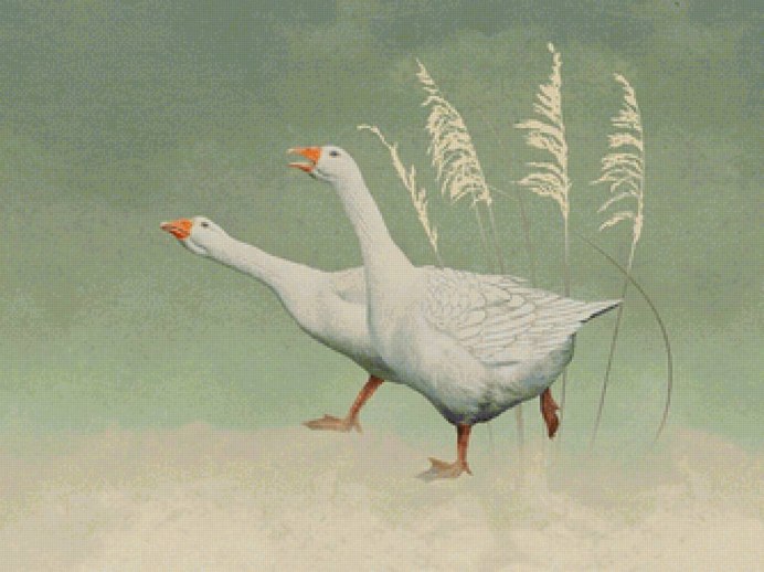 Гусь из игры untitled Goose