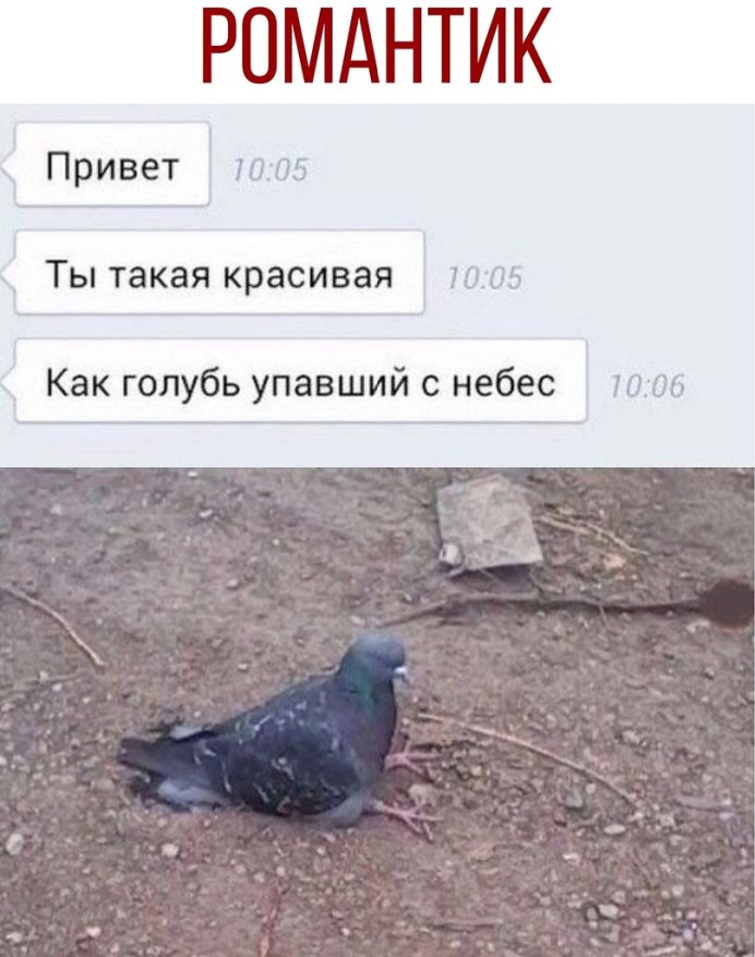 ГОЛУПЬ прыгнул с крыши